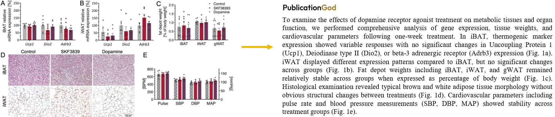 Figure to Results example